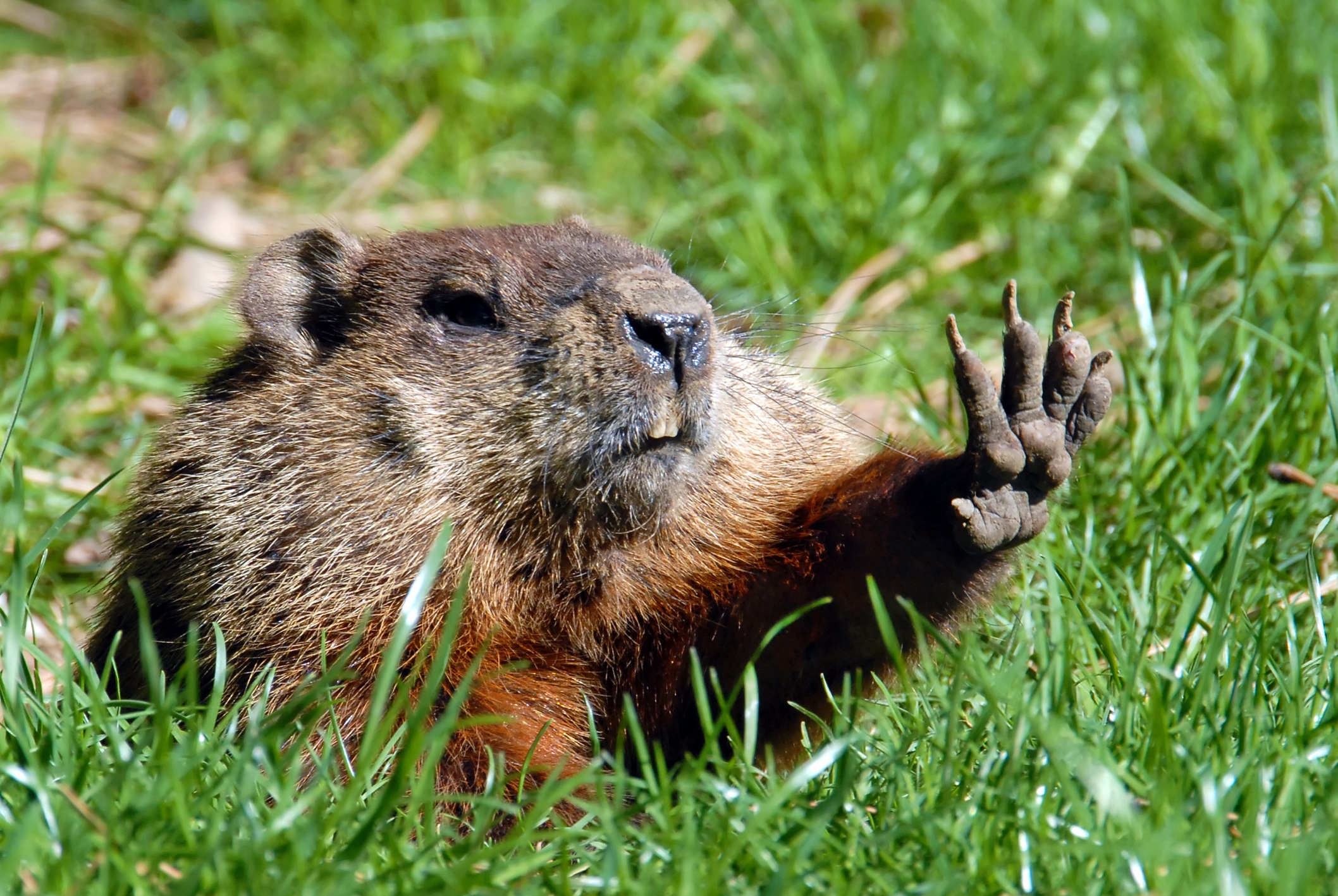 What Does Groundhog Day Have To Do With Helping You Sleep Better?