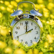Spring Forward